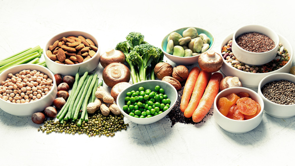 Plant-Based Protein